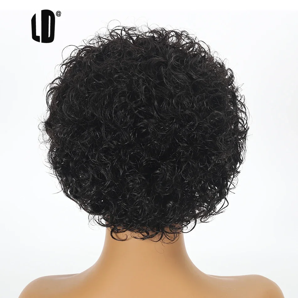 Pixie Cut Wig 99J Color Lace W - Short Pixie Cut Wig Human Hair Cheap recension och pris